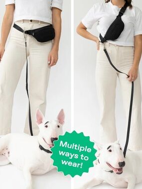Springer Black Crossbody Belt Bag with dog leash